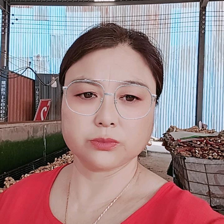 乔家南区2号洗姜机董风美