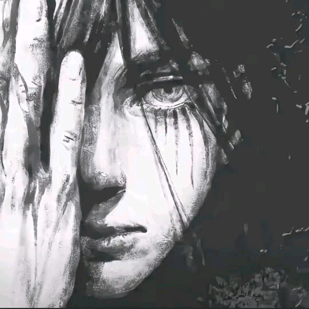 小霖数码