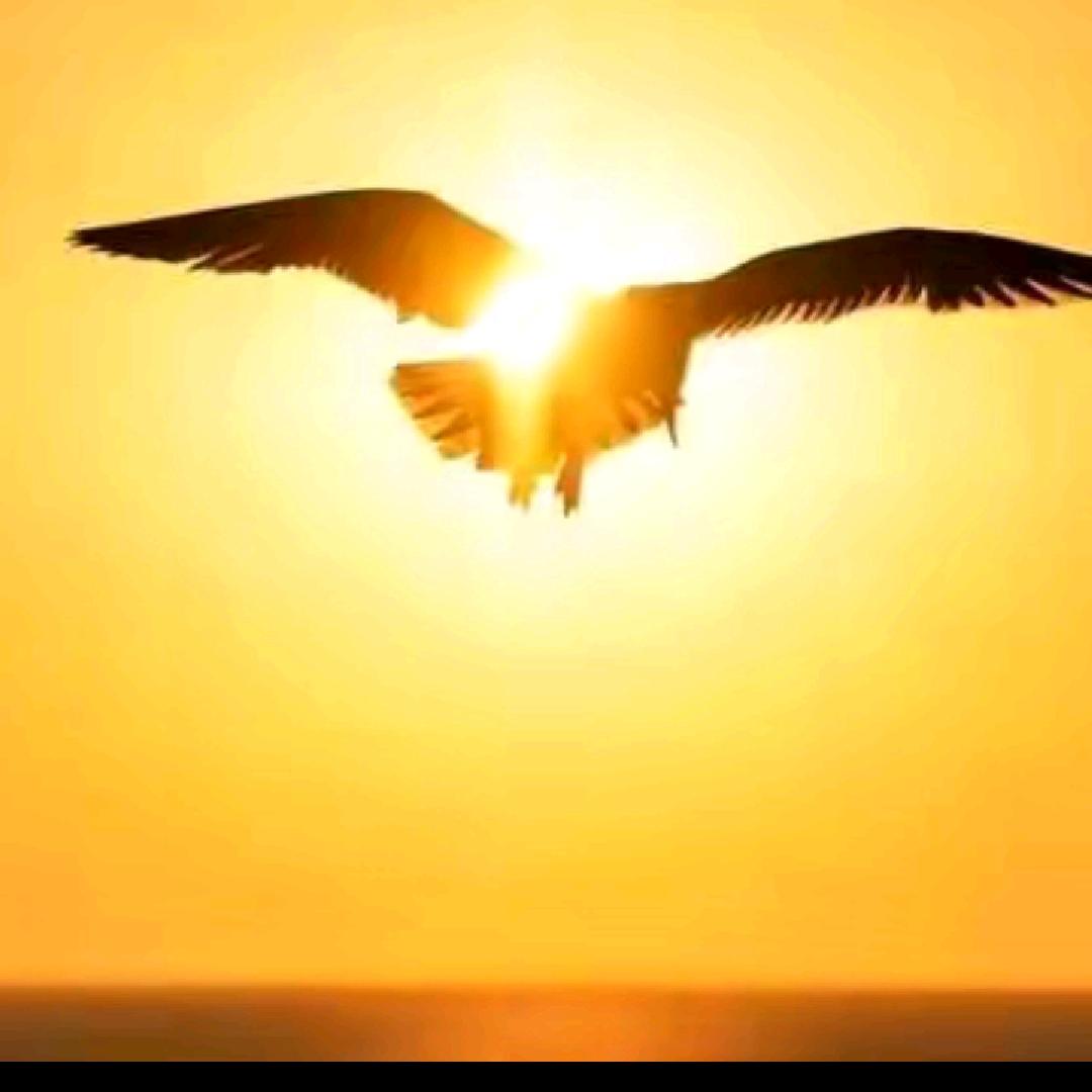 @野郎中2918🚩🚩