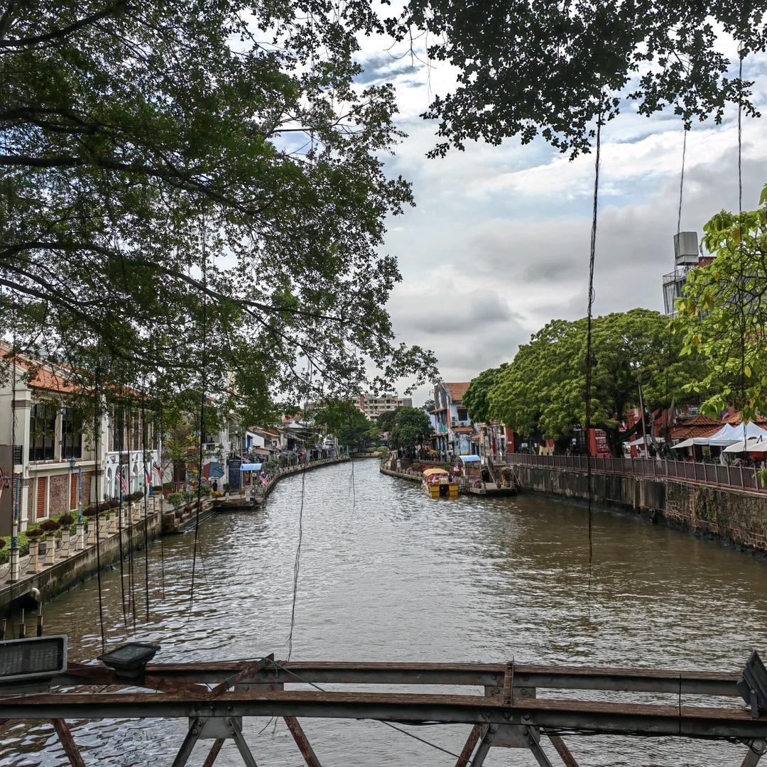 爱吃酸的泥狐狸