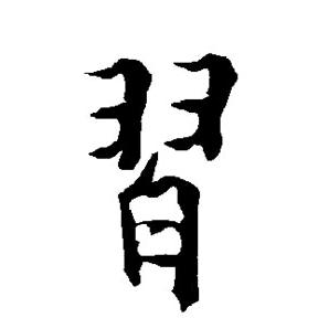 塞外雪豹