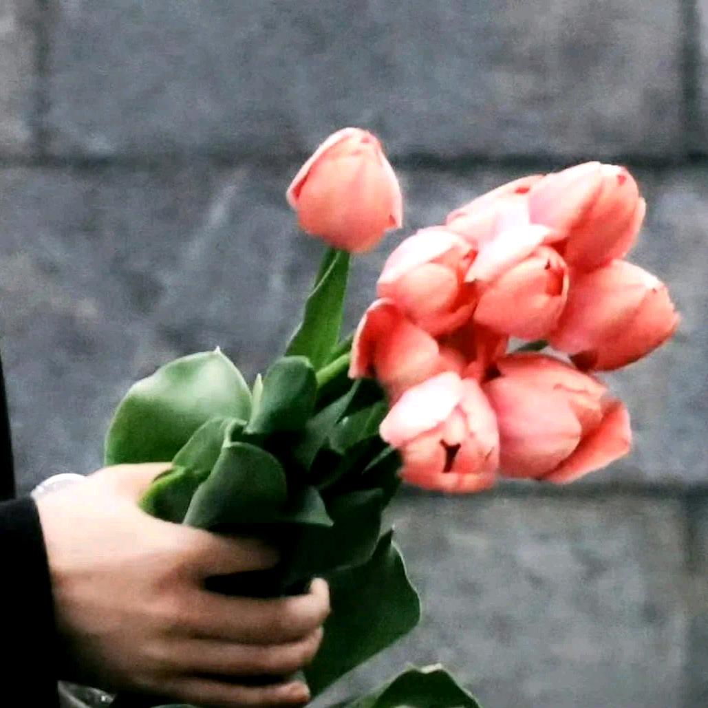 骑老奶奶闯红灯🌾