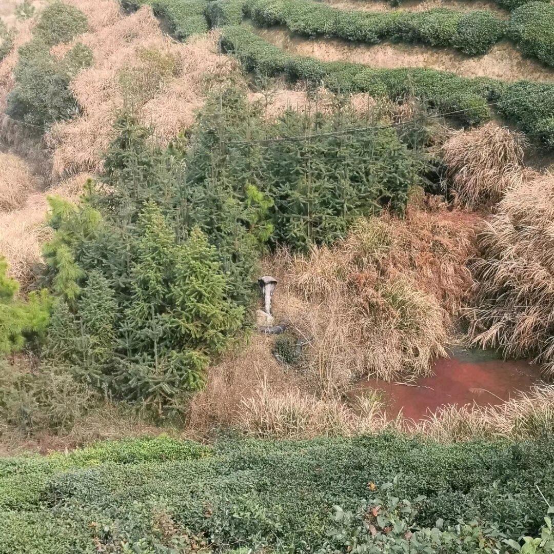 心如止水
