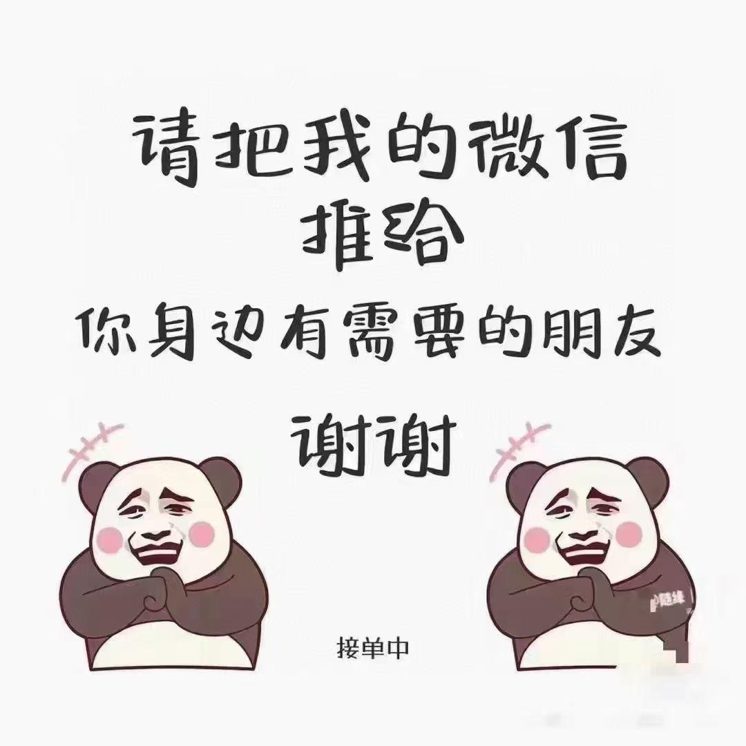 独自听风