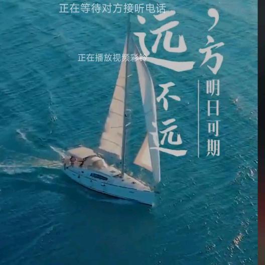 没苦硬吃