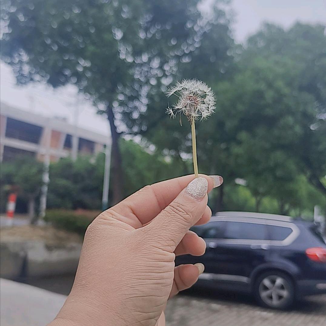 : ℋM樂樂🥀