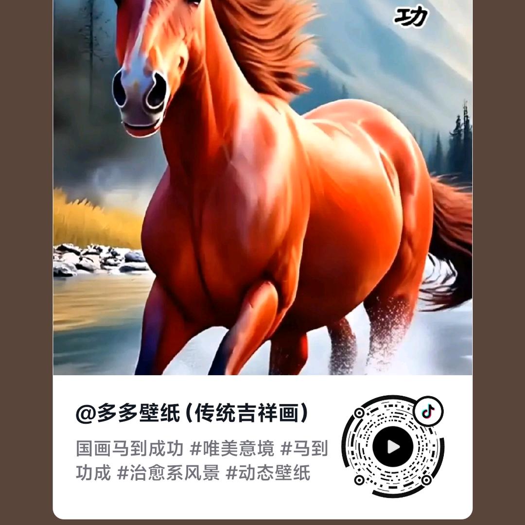 网络达人