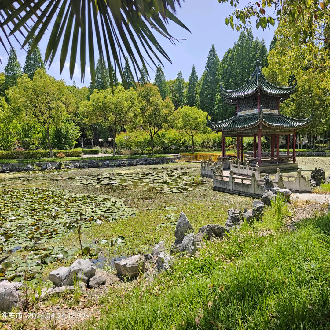 有“李”幸“胡”