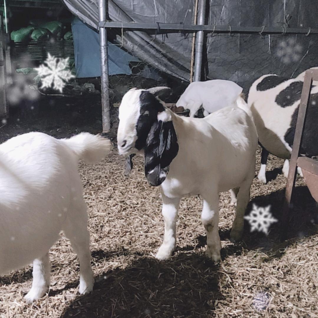 浩宇