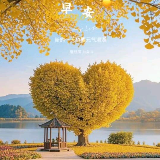 静静🐯等酒🍎🍎