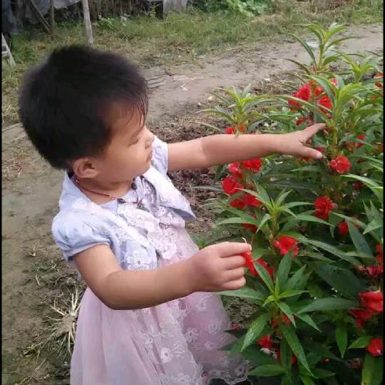 温暖