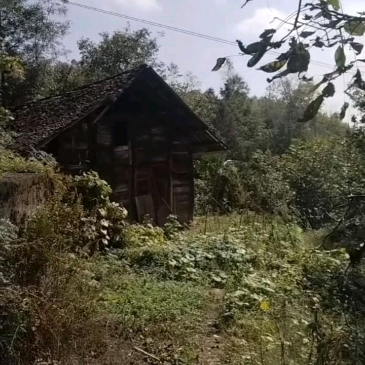 我是捡破烂的。