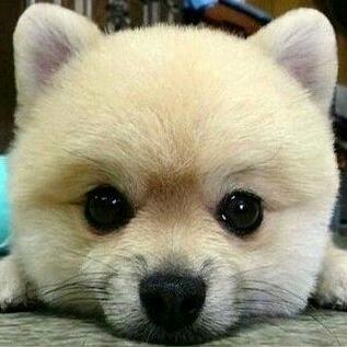 এ᭄ꦿ张ོꦿృ༊