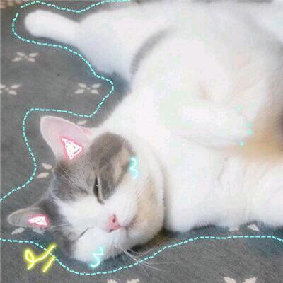 ✲°⋆꒰๑̮๑꒱⋆°✲