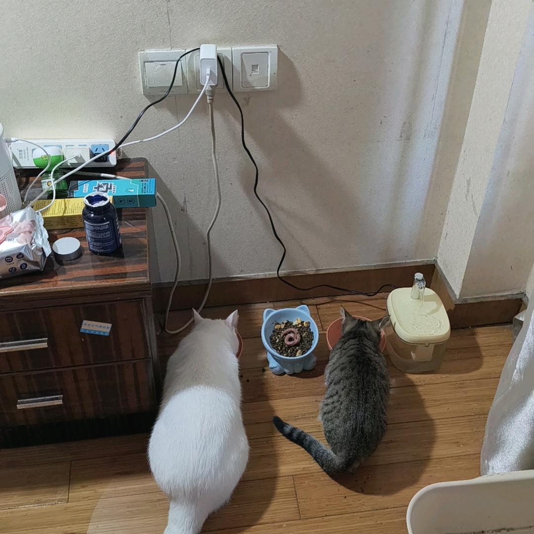 可否在许少年时