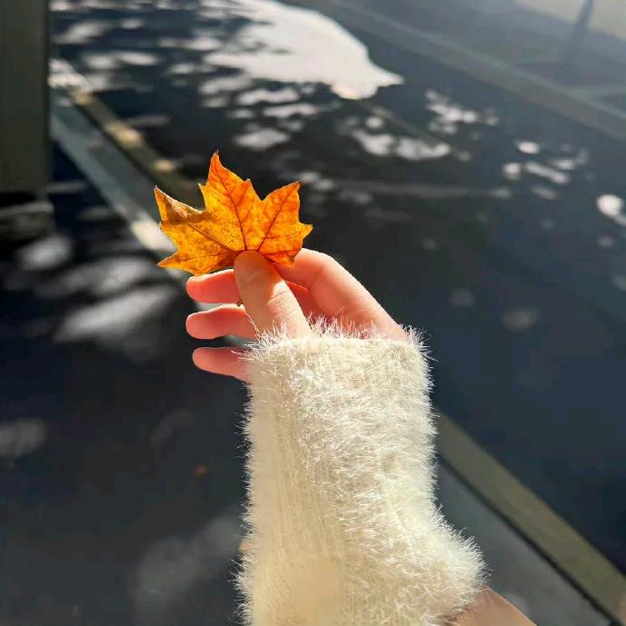 ℒ信ℴ命ꦿ不认命❦এۣۖℒ