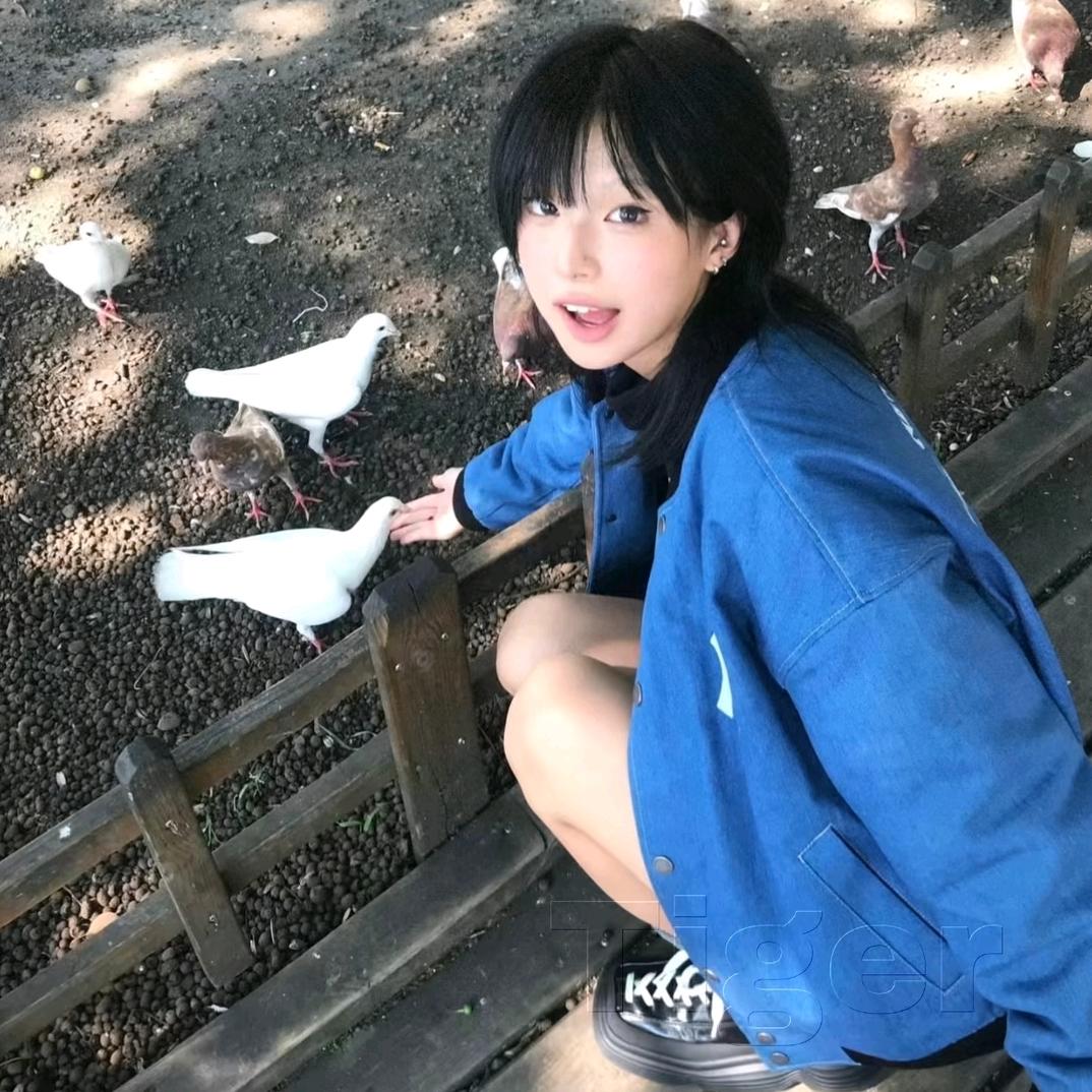 菜菜