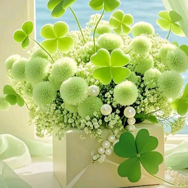 🍀🍀四叶草🍀🍀