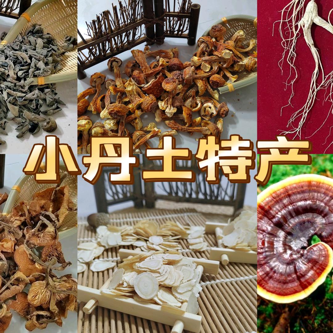 长白山小丹参源土特产
