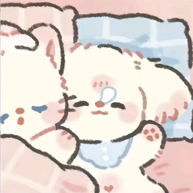 小饭团💤