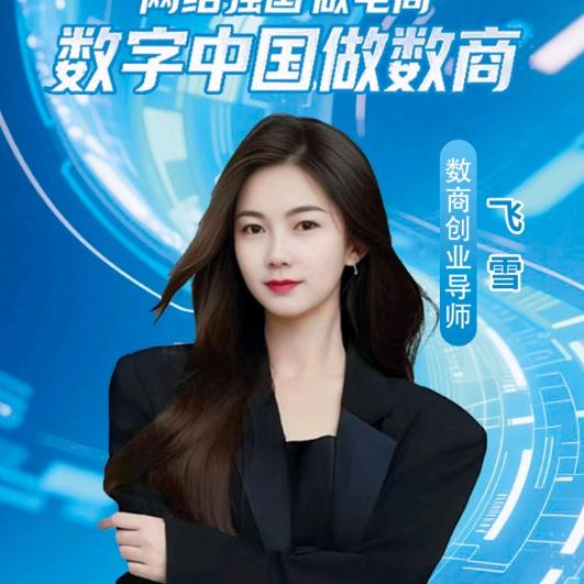 数商时代，数字化转型打造师飞雪