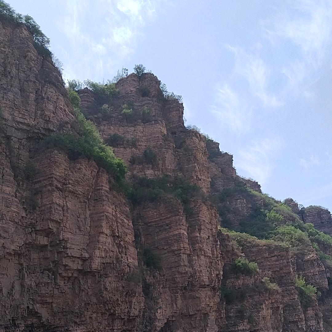 前进的大鹏