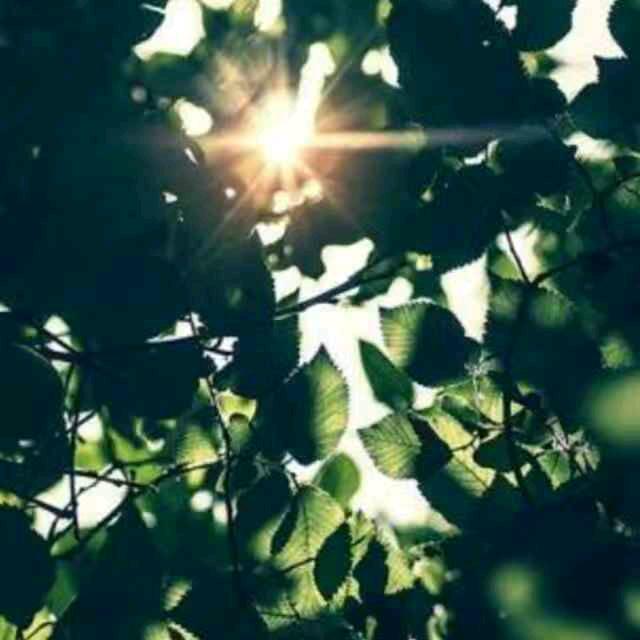 简爱🌙