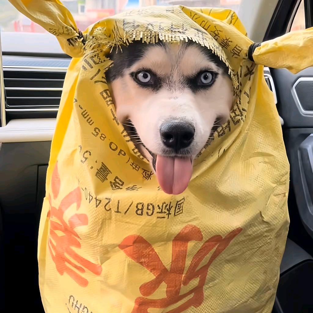 草莓味咯吱窝