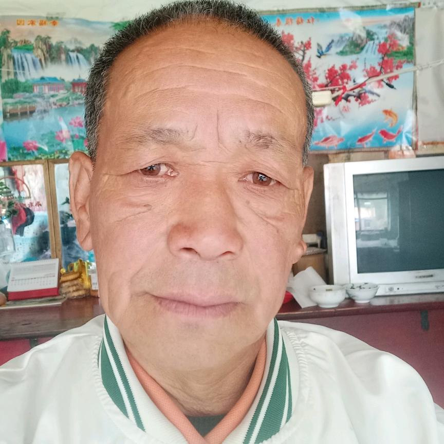 陈茹