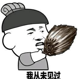 一只小小鸟飞机