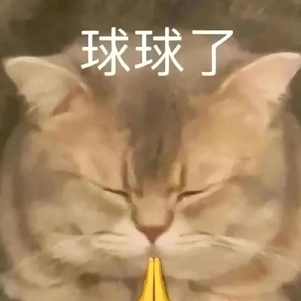 球球英雄-鹅鹅