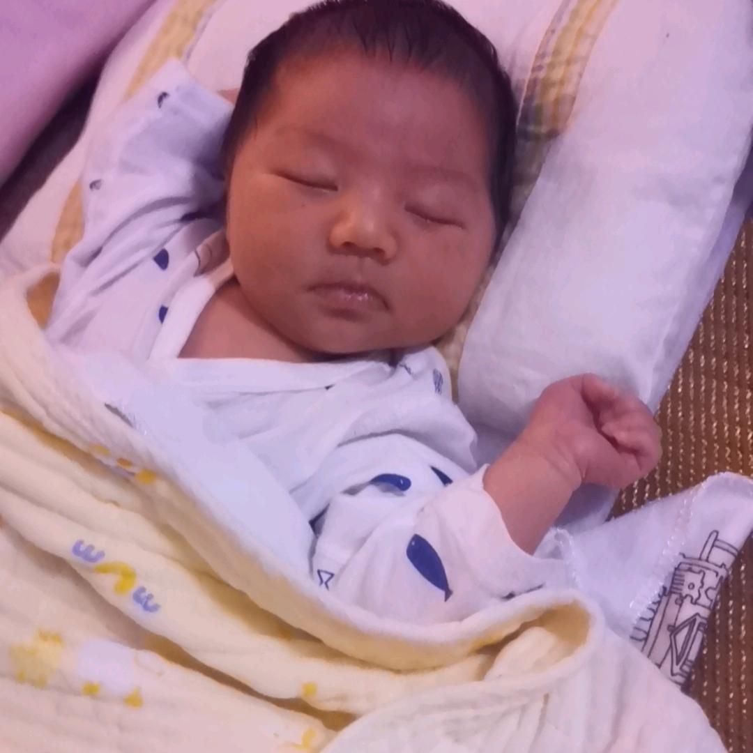 皮皮娘（哺乳期）