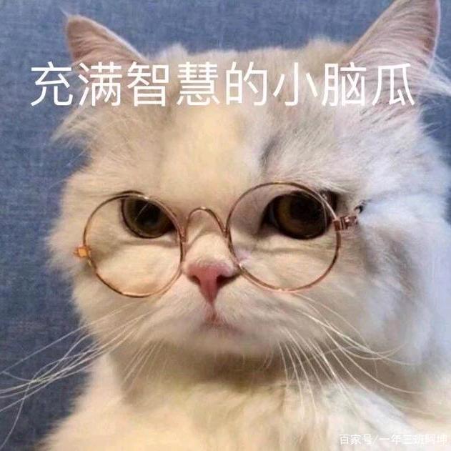 思无尽念无极