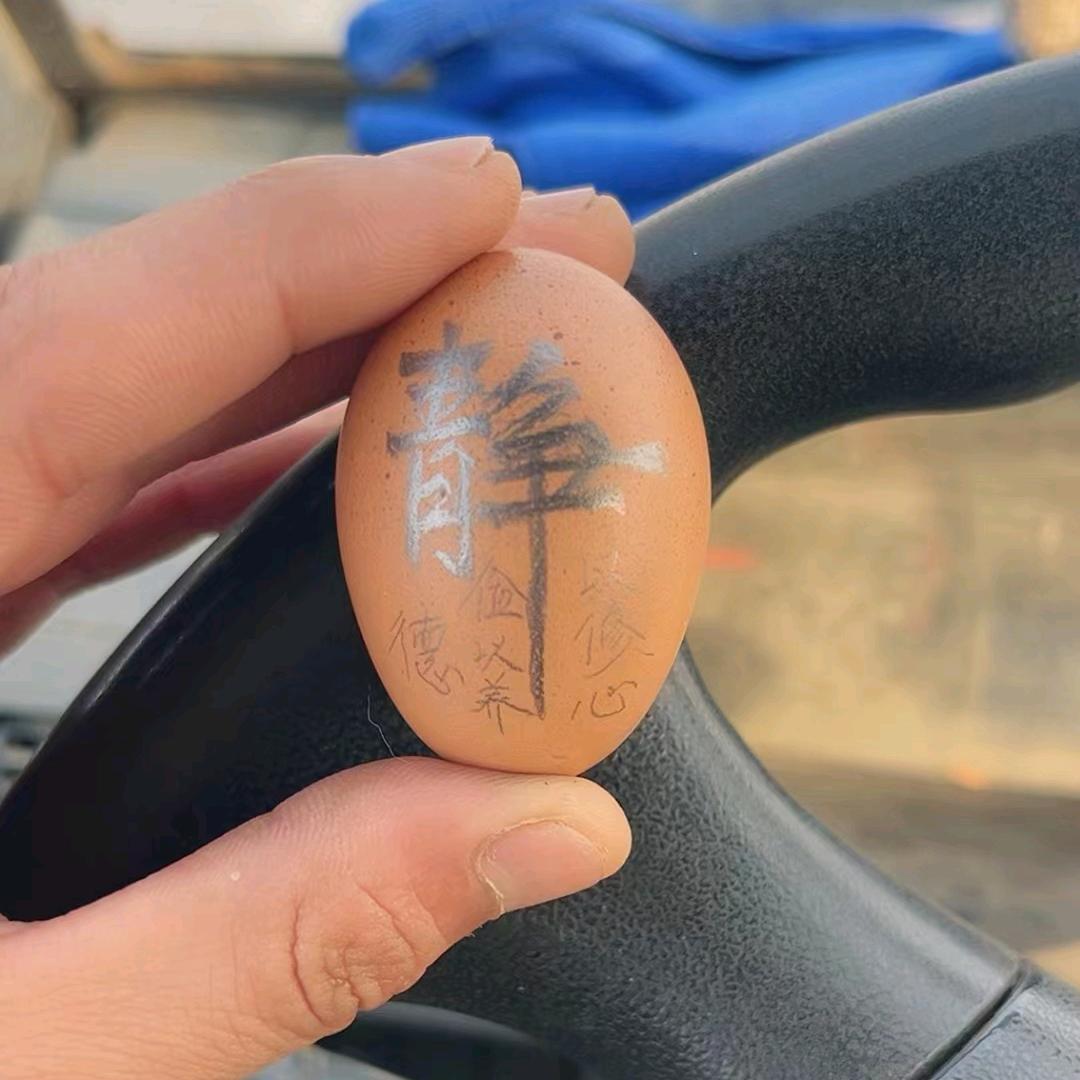 热心市民蛋先生