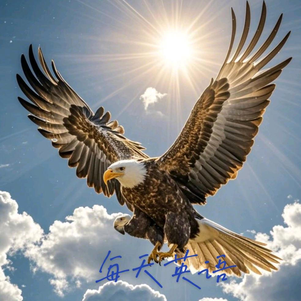 英语学习中……