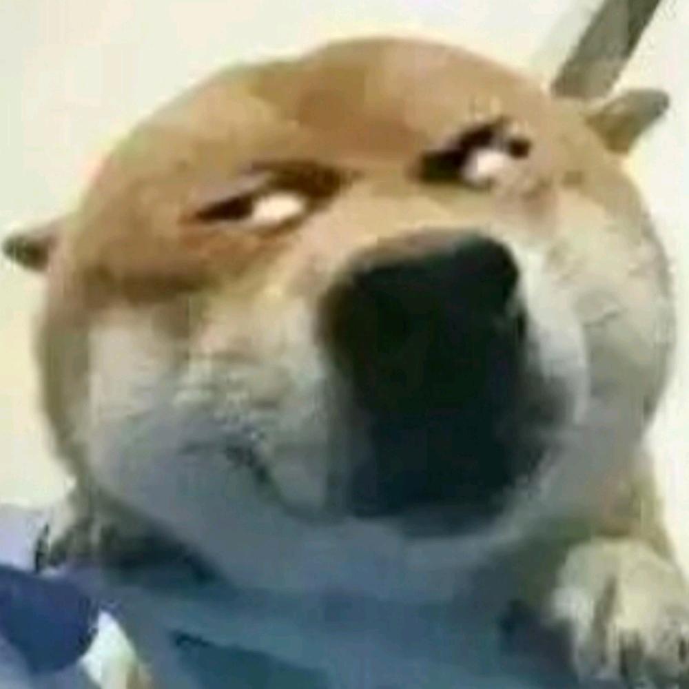 画饼的画家