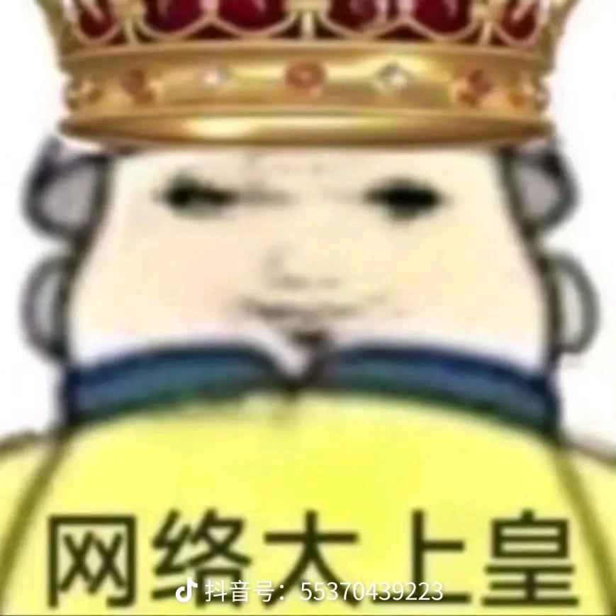 无敌魏轻大王