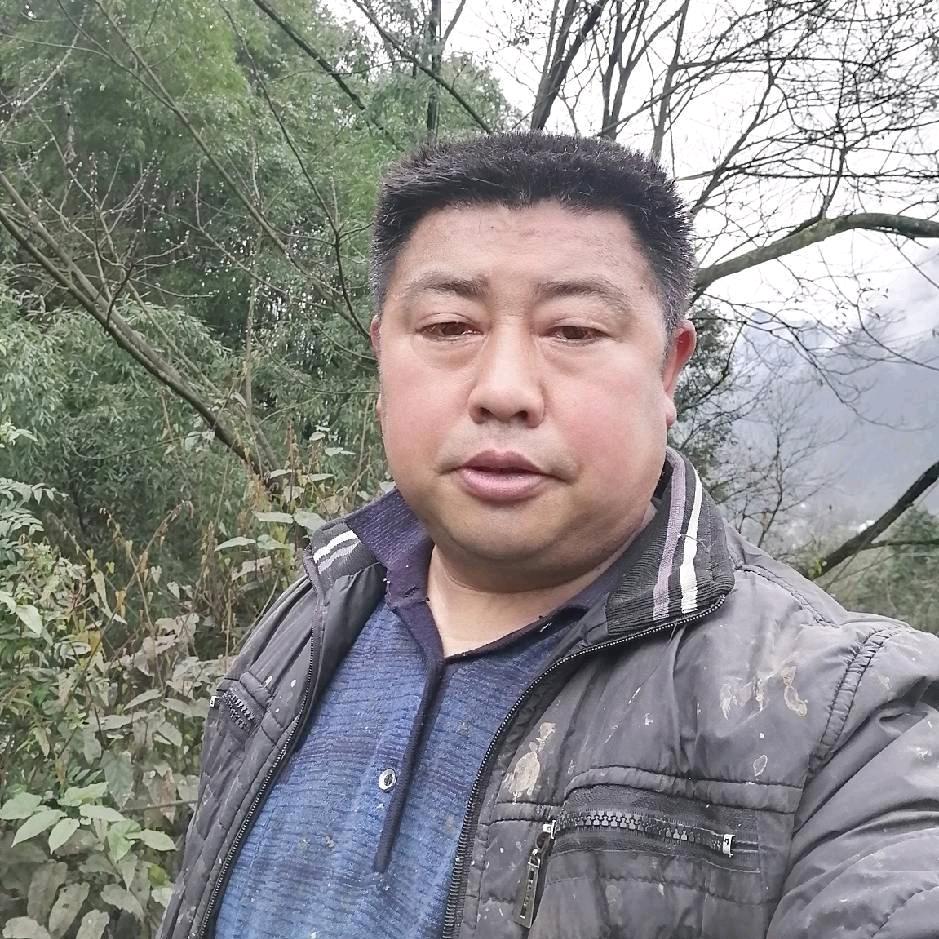 路见不平