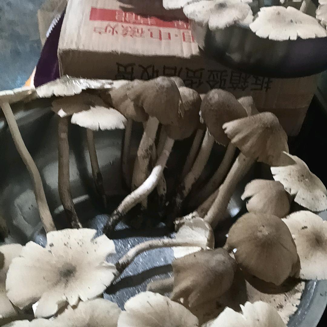 过得很累很累