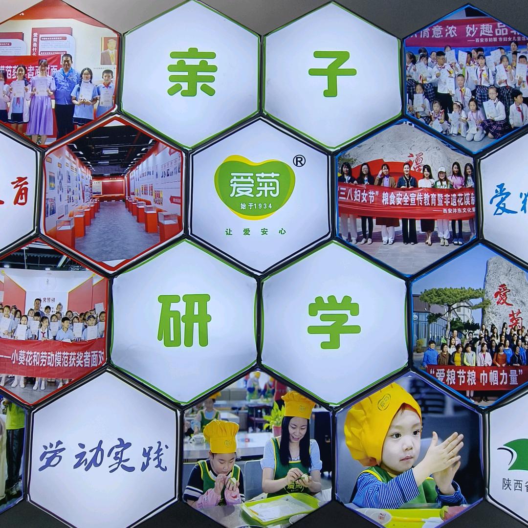 爱菊亲子研学