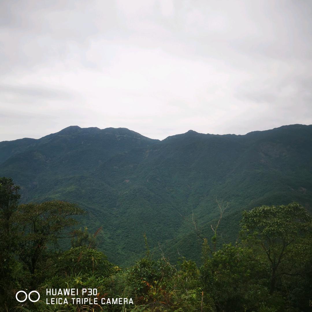 $伯林芝升¥√が989√