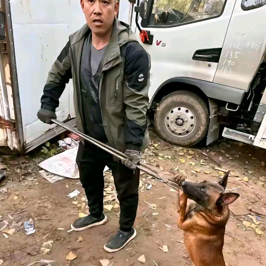 专业套狗王师傅