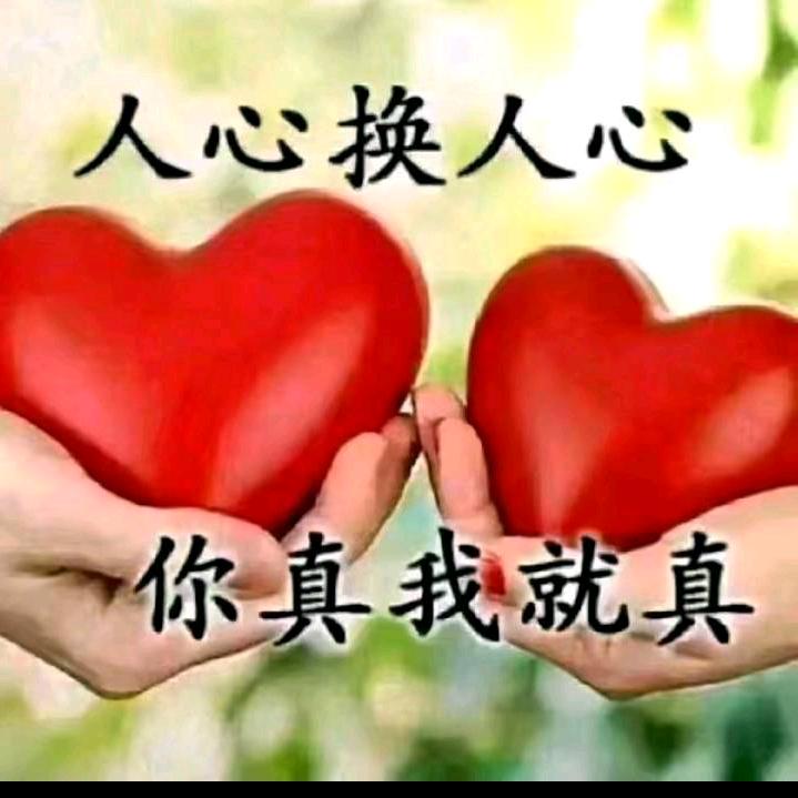 一切归零从新开