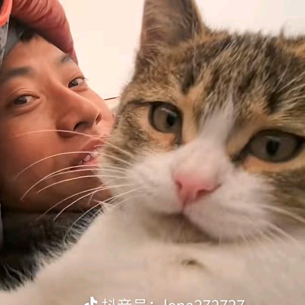 龙介