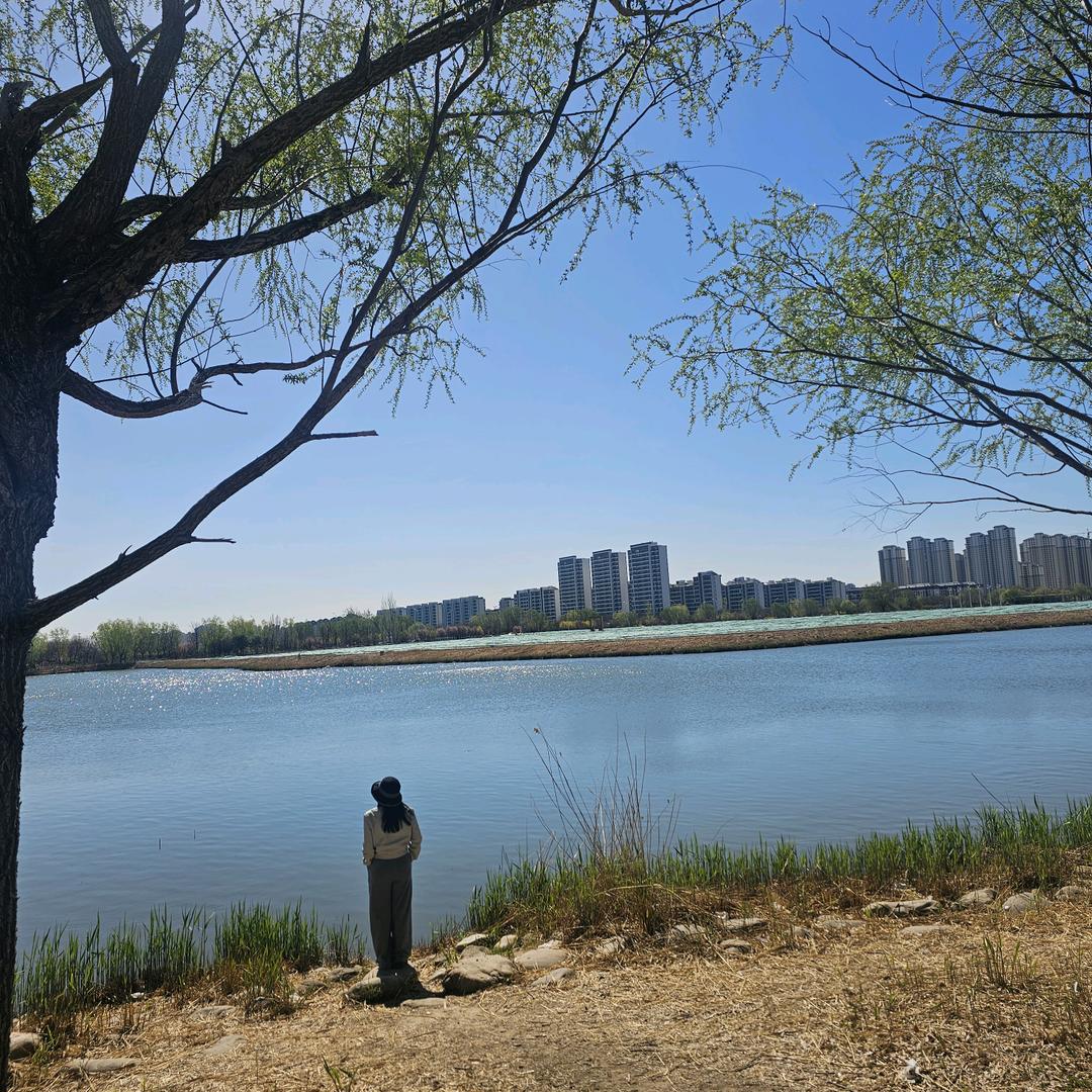 iRead英语教学(原版阅读)