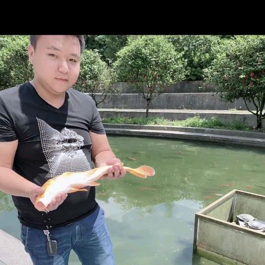 德化盛世CBD家居宾哥