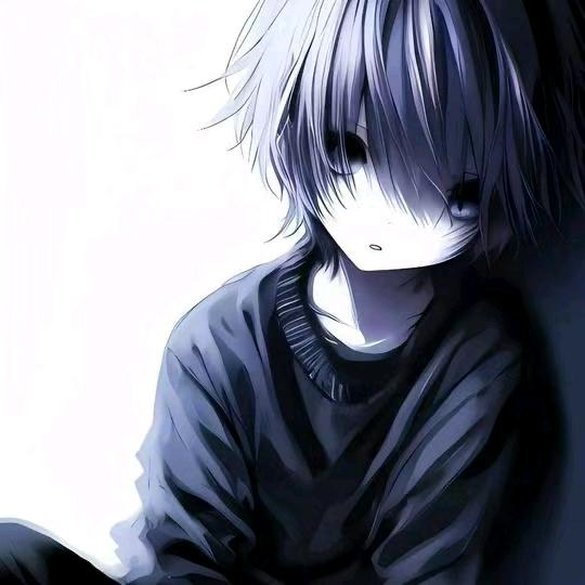 王者荣耀小双（巅峰第一）