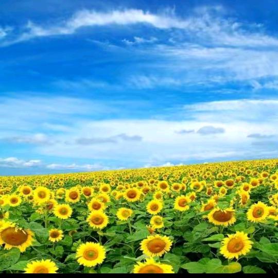 缘☀