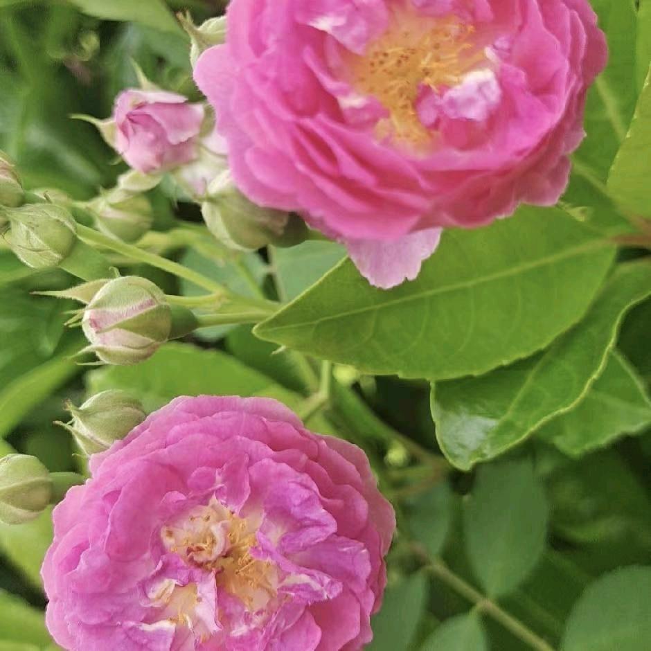 有你很好，没你也行