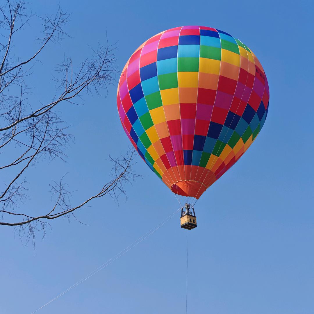 酱酱来了🍭🍭